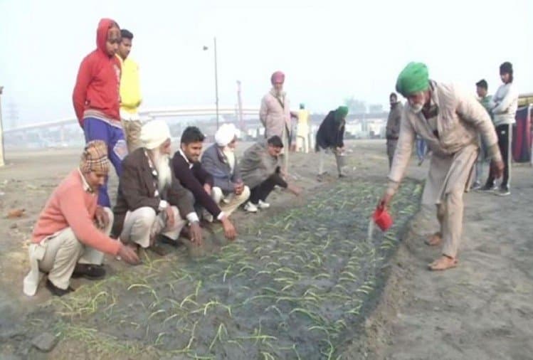 Kisan Andolan News: किसानों ने हाइवे को ही बनाया अपना घर, प्रदर्शन स्थल पर अब शुरू की खेती Kisan Andolan News: किसानों ने हाइवे को ही बनाया अपना घर, प्रदर्शन स्थल पर अब शुरू की खेती