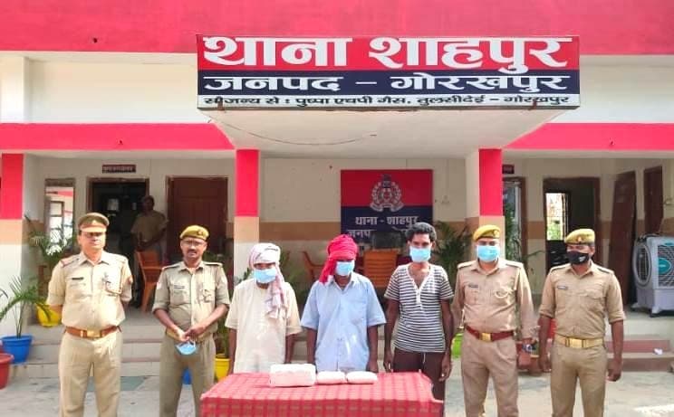 गोरखपुर के सहजनवा थानाक्षेत्र में खेत में मिली युवक की लाश, पुलिस नहीं कर पा रही पहचान गोरखपुर के सहजनवा थानाक्षेत्र में खेत में मिली युवक की लाश, पुलिस नहीं कर पा रही पहचान