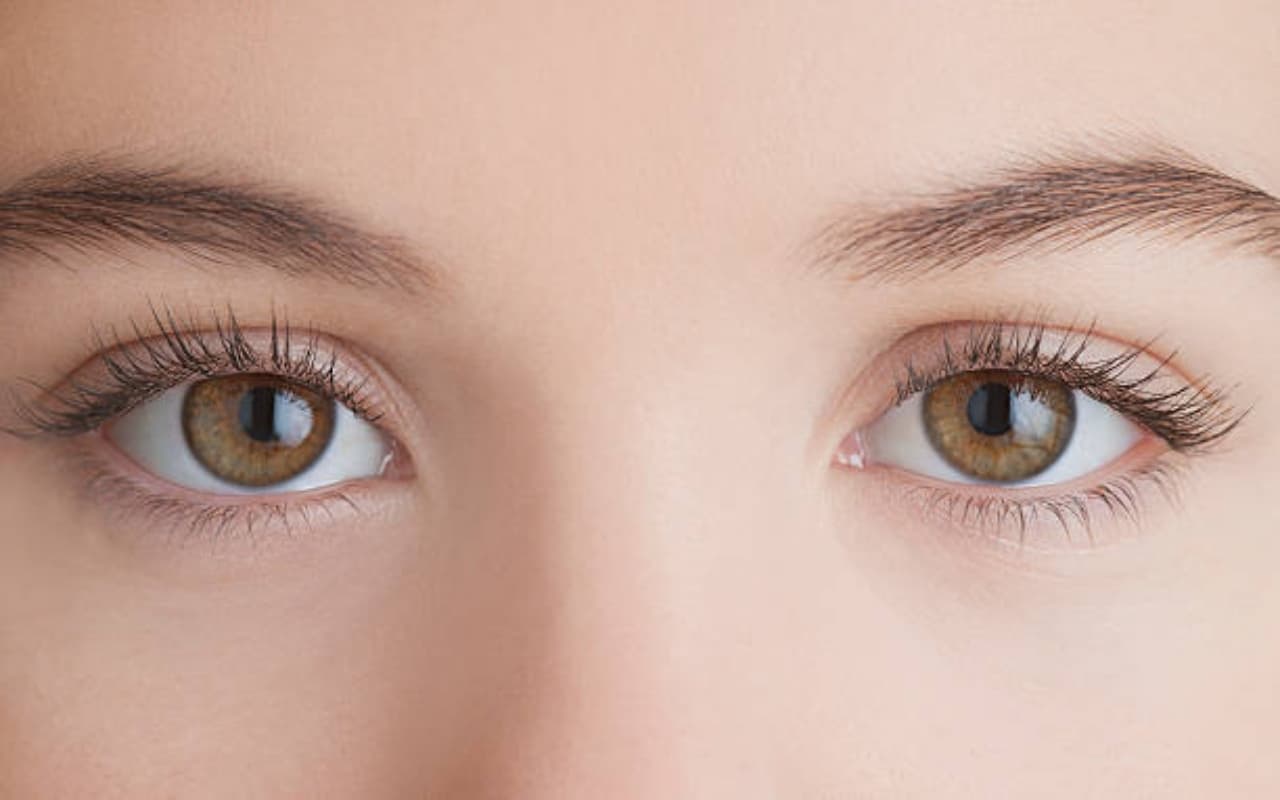 World Sight Day 2023 : जानिए खास दिन का क्या है महत्व, कैसे करें आंखों की देखभाल World Sight Day 2023 : जानिए खास दिन का क्या है महत्व, कैसे करें आंखों की देखभाल