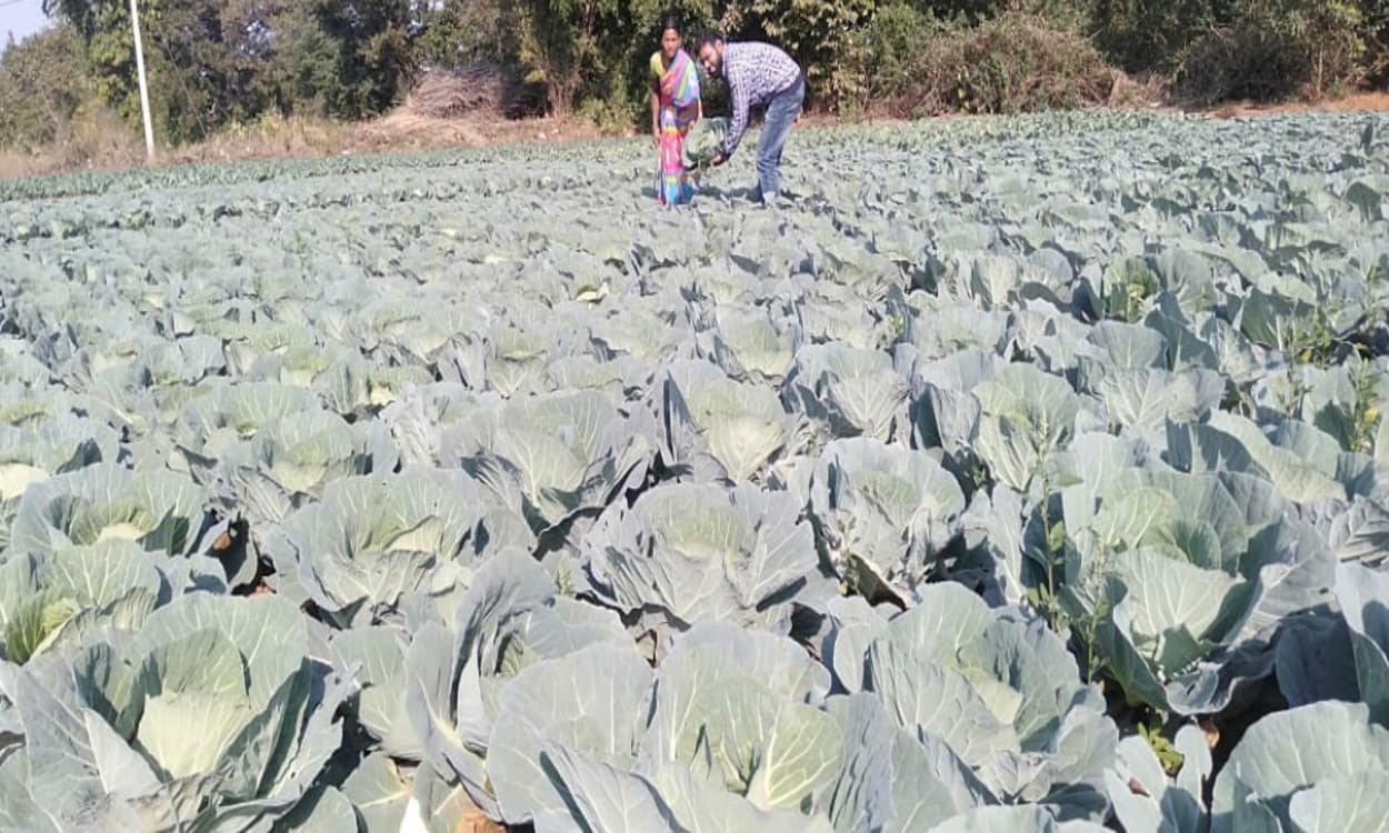 मनरेगा के तहत सिंचाई कूप निर्माण से सशक्त हो रहे खूंटी के किसान