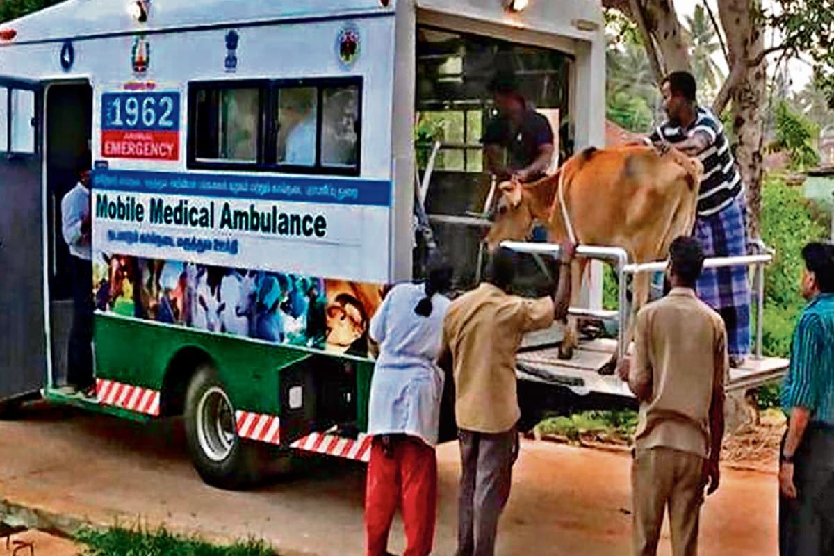 Jharkhand News: अब झारखंड में घर पर ही होगा बीमार पशुओं का इलाज, केंद्र सरकार देगी राशि Jharkhand News: अब झारखंड में घर पर ही होगा बीमार पशुओं का इलाज, केंद्र सरकार देगी राशि