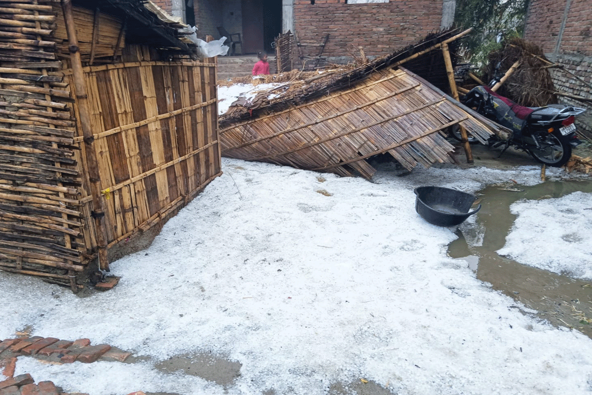 Bihar Weather: तेज बारिश और ओलावृष्टि से आम-लीची के साथ गेहूं व रवि की फसल क्षति, बर्फ से पटी सड़क… Bihar Weather: तेज बारिश और ओलावृष्टि से आम-लीची के साथ गेहूं व रवि की फसल क्षति, बर्फ से पटी सड़क…