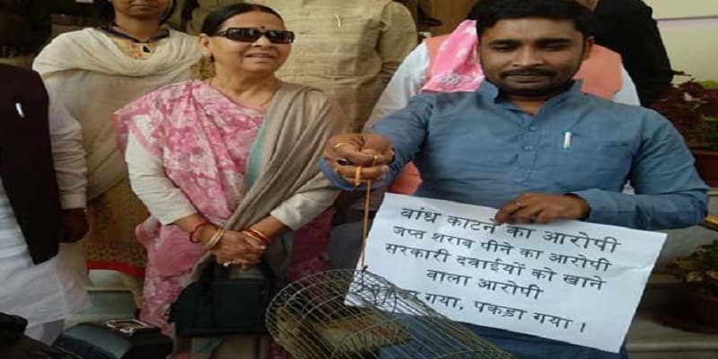 बजट सत्र : बिहार की सियासत में हुई चूहे की एंट्री, …जानें क्या है पूरा मामला?