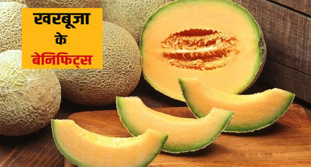 Muskmelon Benefits: गर्मी में इम्युनिटी बूस्टर का काम करता है खरबूजा, वजन कंट्रोल में है फायदेमंद Muskmelon Benefits: गर्मी में इम्युनिटी बूस्टर का काम करता है खरबूजा, वजन कंट्रोल में है फायदेमंद
