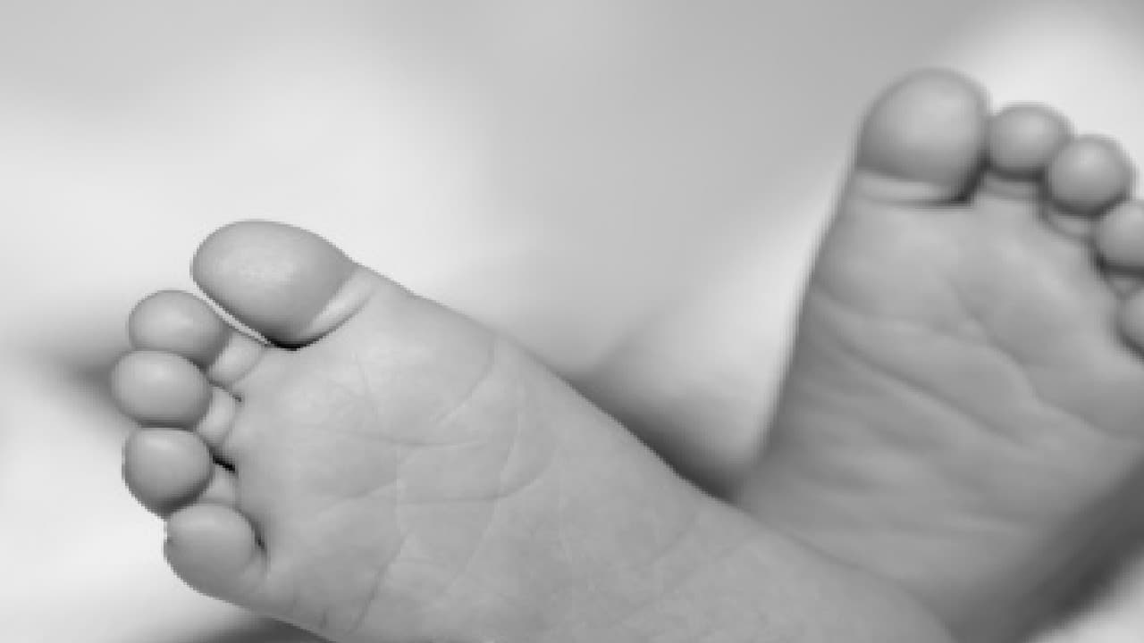 बरेली: निजी अस्पताल में नवजात की मौत पर हंगामा, परिजनों ने लगाया इलाज में लापरवाही का आरोप, जानें फिर क्या हुआ बरेली: निजी अस्पताल में नवजात की मौत पर हंगामा, परिजनों ने लगाया इलाज में लापरवाही का आरोप, जानें फिर क्या हुआ