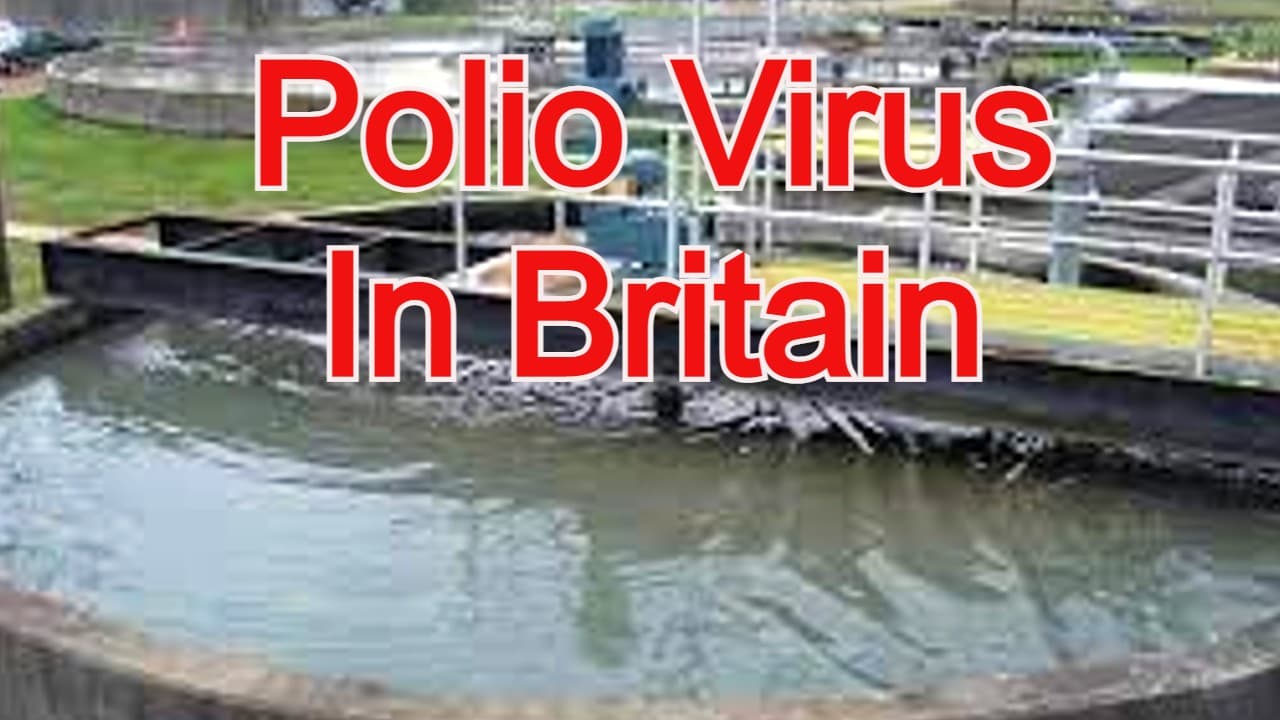 Polio Virus in Britain: ब्रिटेन में मिला पोलियो का वायरस, आशंकाओं के साये में पाकिस्तान का टीकाकरण अभियान Polio Virus in Britain: ब्रिटेन में मिला पोलियो का वायरस, आशंकाओं के साये में पाकिस्तान का टीकाकरण अभियान