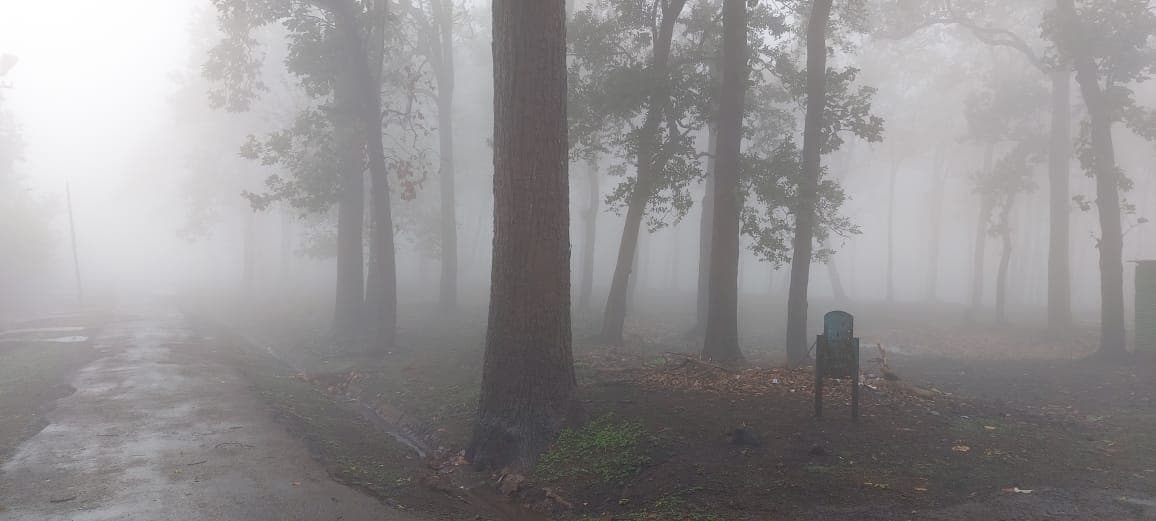 Jharkhand Weather Forecast : झारखंड में कैसा रहेगा मौसम का मिजाज, कब होगी भारी बारिश, पढ़िए मौसम वैज्ञानिकों का पूर्वानुमान Jharkhand Weather Forecast : झारखंड में कैसा रहेगा मौसम का मिजाज, कब होगी भारी बारिश, पढ़िए मौसम वैज्ञानिकों का पूर्वानुमान
