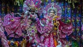 Radha Ashtami 2023: वृंदावन में राधाष्टमी की तैयारी शुरू, इस दिन मनाया जाएगा जन्मोत्सव, जानें शुभ मुहूर्त Radha Ashtami 2023: वृंदावन में राधाष्टमी की तैयारी शुरू, इस दिन मनाया जाएगा जन्मोत्सव, जानें शुभ मुहूर्त