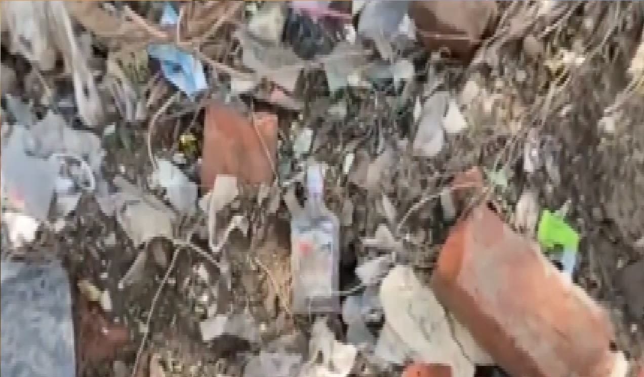 Bihar: जहां से लिखी जाती है बिहार के विकास की गाथा, उसी परिसर में बिखरी मिली शराब की खाली बोतलें Bihar: जहां से लिखी जाती है बिहार के विकास की गाथा, उसी परिसर में बिखरी मिली शराब की खाली बोतलें
