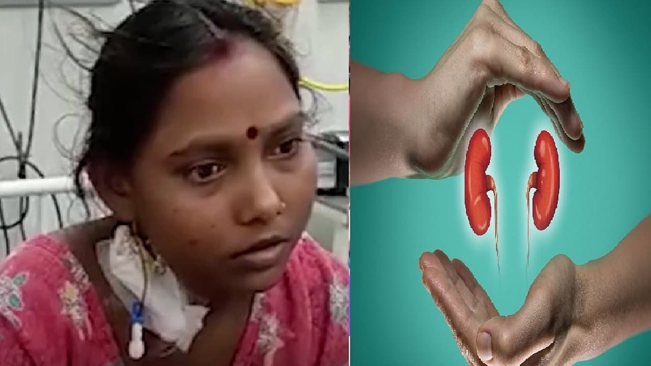 बिहार: ‘मेरी शादी है, 7 लाख में किडनी ले लो.,’ जिंदगी की जंग लड़ रही सुनीता को 7 महीने बाद मिली डोनर, लेकिन.. बिहार: ‘मेरी शादी है, 7 लाख में किडनी ले लो.,’ जिंदगी की जंग लड़ रही सुनीता को 7 महीने बाद मिली डोनर, लेकिन..