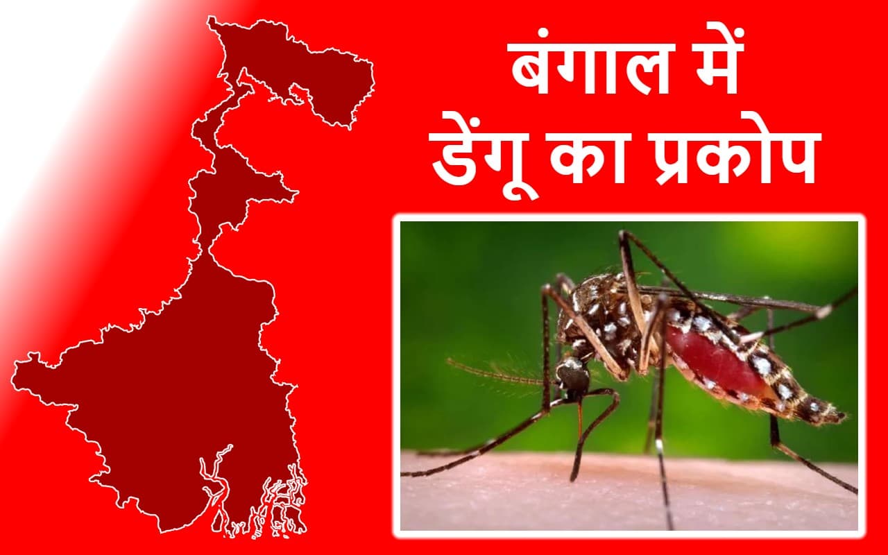पश्चिम बंगाल में 700 फीसदी बढ़े डेंगू के मामले, 11 नगर निकायों में तेजी से बढ़े बुखार के केस पश्चिम बंगाल में 700 फीसदी बढ़े डेंगू के मामले, 11 नगर निकायों में तेजी से बढ़े बुखार के केस