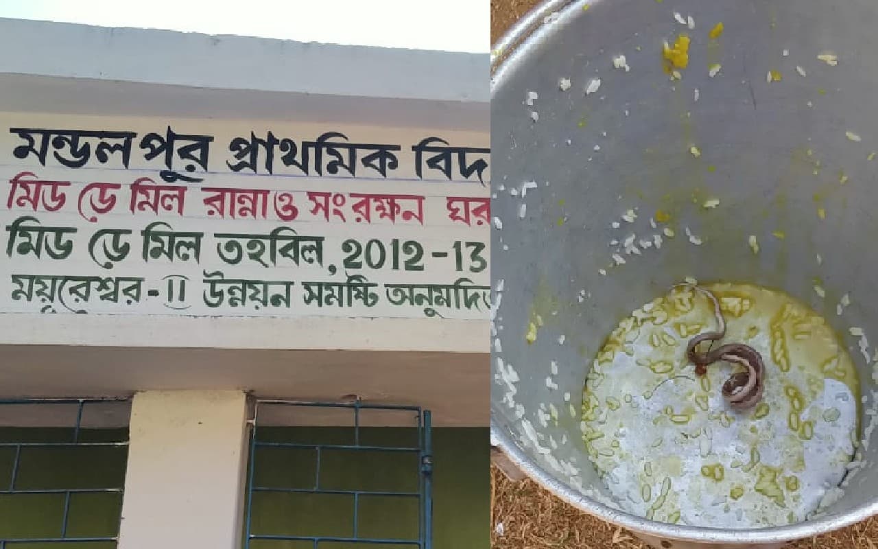 West Bengal: बीरभूम के स्कूल में मिड डे मील में सांप मिलने के मामले में प्रधानाध्यापक को कारण बताओ नोटिस West Bengal: बीरभूम के स्कूल में मिड डे मील में सांप मिलने के मामले में प्रधानाध्यापक को कारण बताओ नोटिस