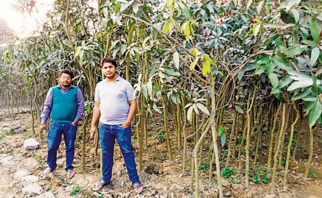 खर्च दो लाख व आमदनी आठ लाख सालाना