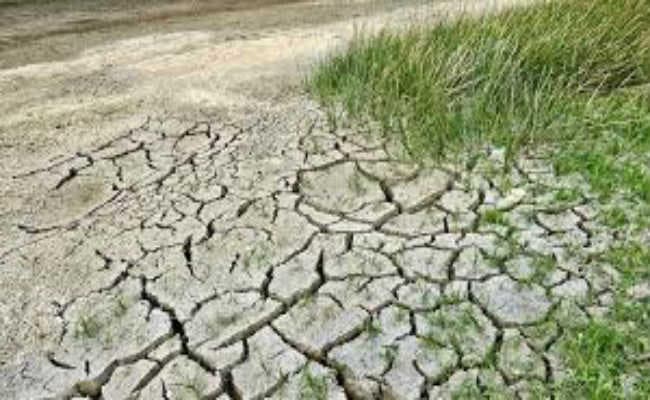 2.38 लाख हेक्टेयर में नहीं मिला सिंचाई का पानी