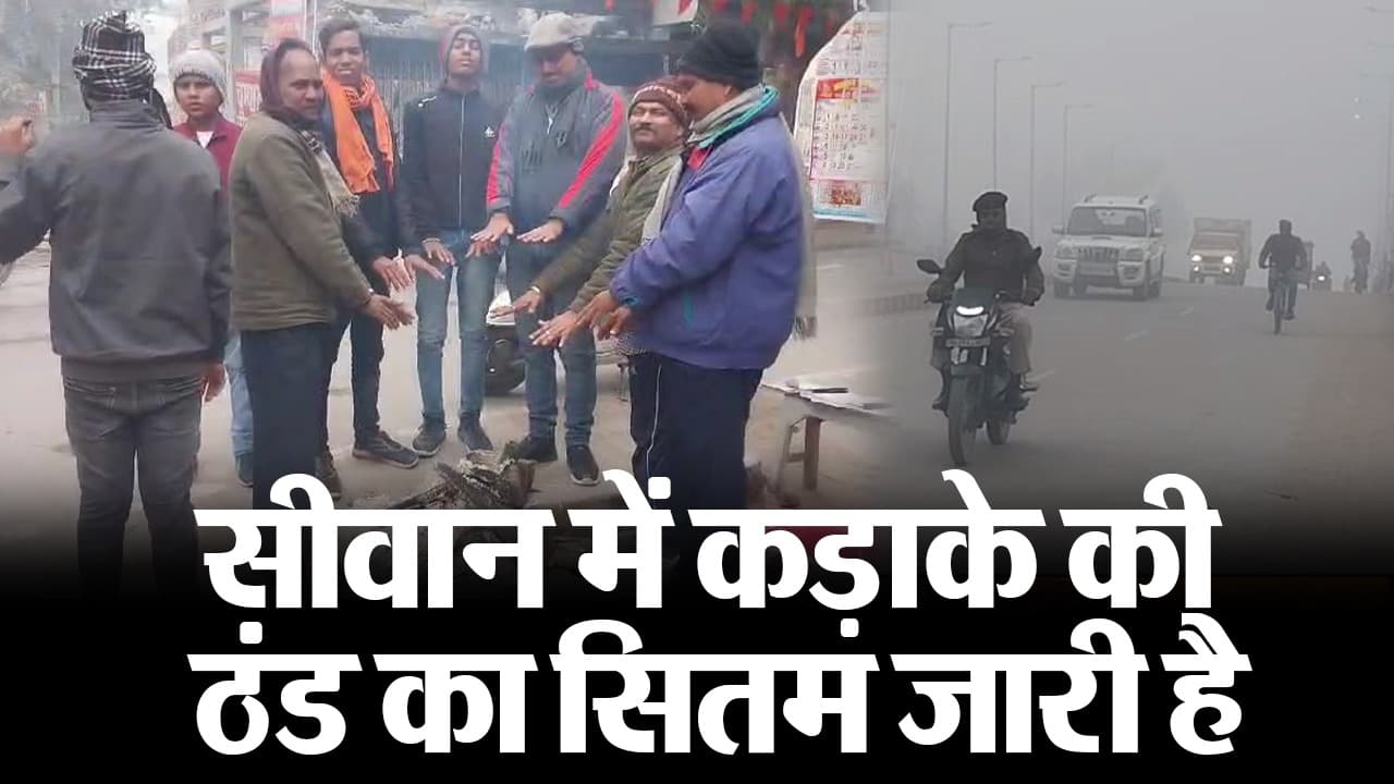 Video: सीवान में कड़ाके की ठंड का सितम जारी, पछुआ हवा व ठंड ने बढ़ायी लोगों की परेशानी