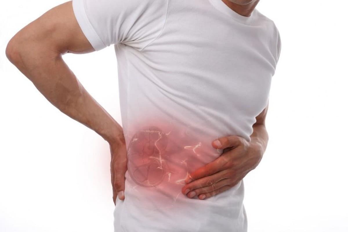 Kidney Kidney