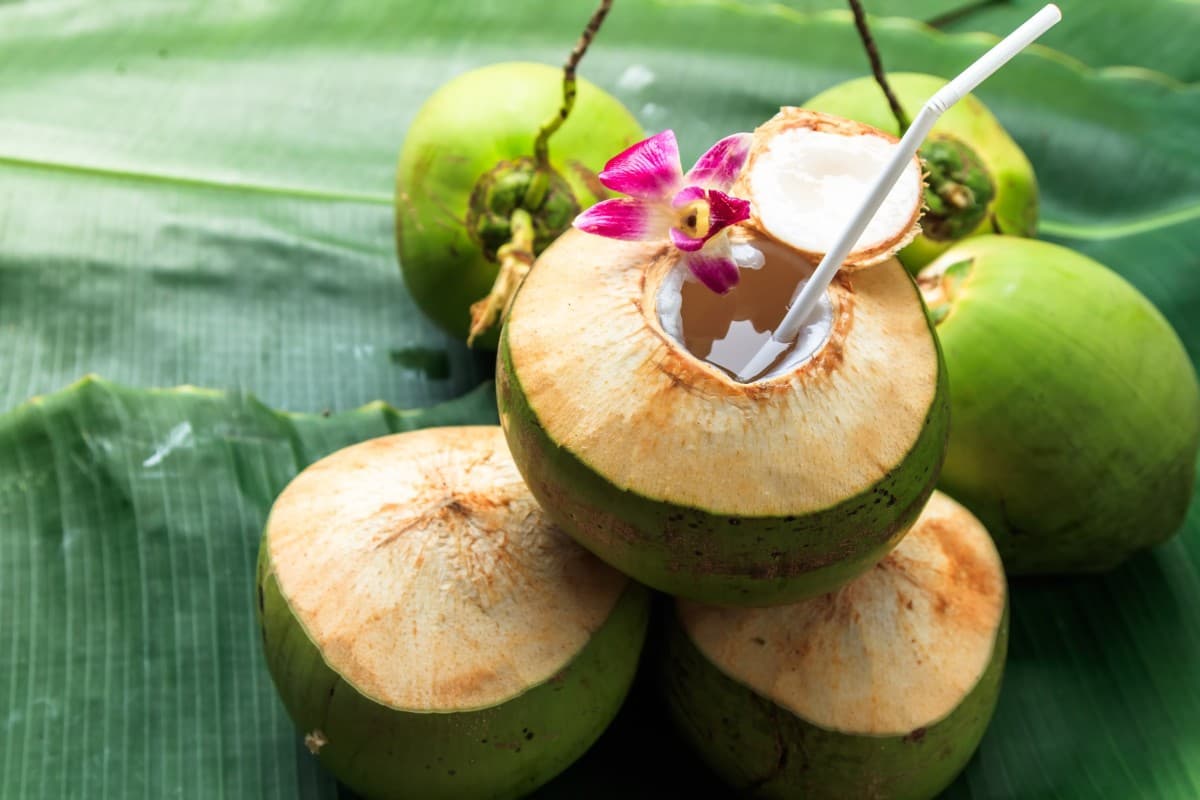 Coconut Water Benefits In Summer: गर्मी में नारियल पानी पीने के फायदे क्या है?