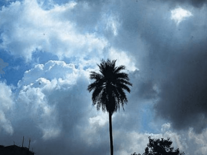 बिहार के नालंदा में आसमान की गिरी आफत, बारिश से धान को बचाने गये किसान की मौत
