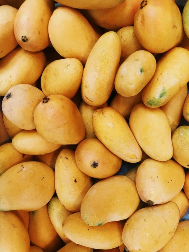 शरीर में हो रही कमजोरी? पानी में भिगोकर खाएं ये चीजें