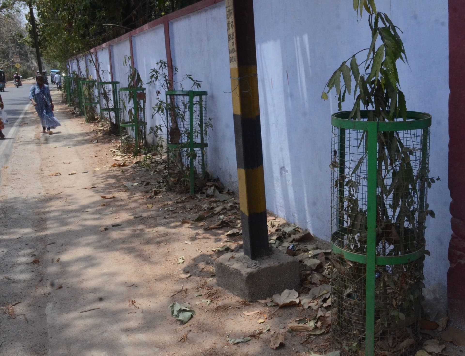Bhagalpur Green Zone : पानी के बगैर सूख गये पौधे, डॉल्फिन के पास फव्वारा भी बंद