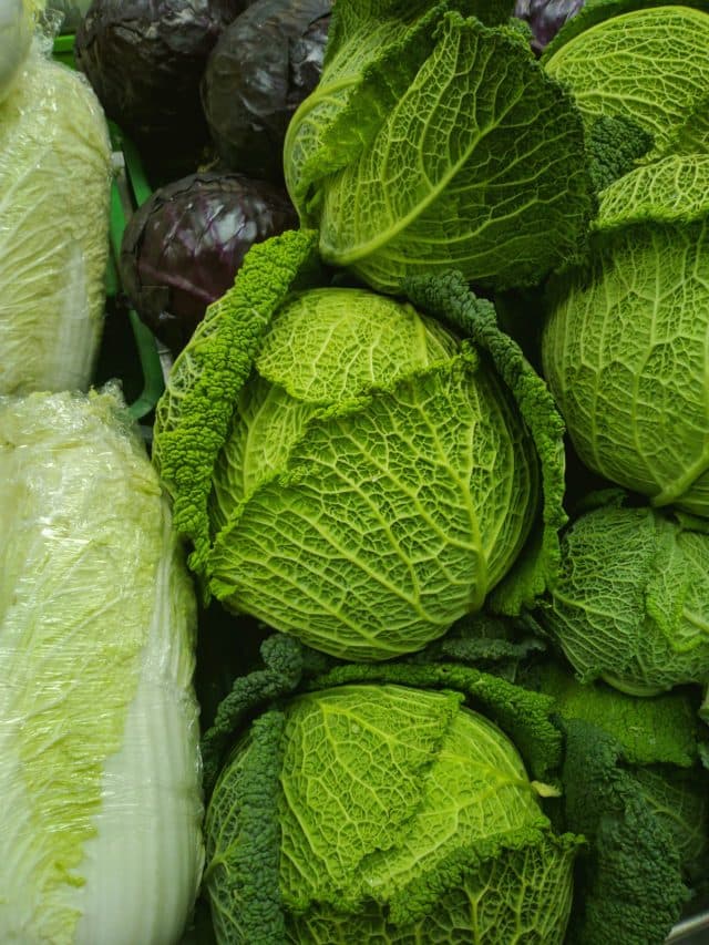 Health Tips: भूलकर भी खाने की इन चीजों को बार-बार न करें गर्म