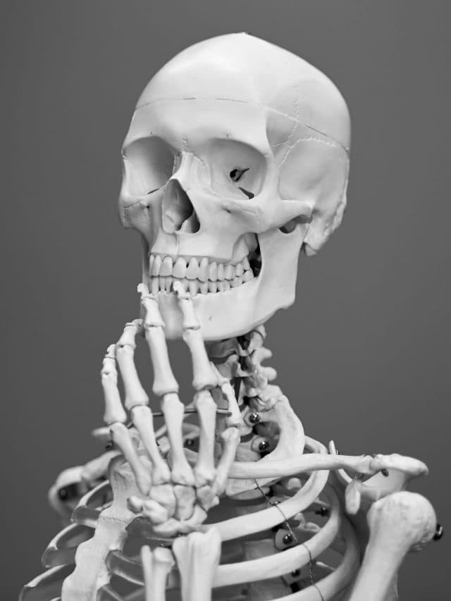हड्डियों को करना चाहते हैं मजबूत? आज ही डायट में शामिल करें ये चीजें