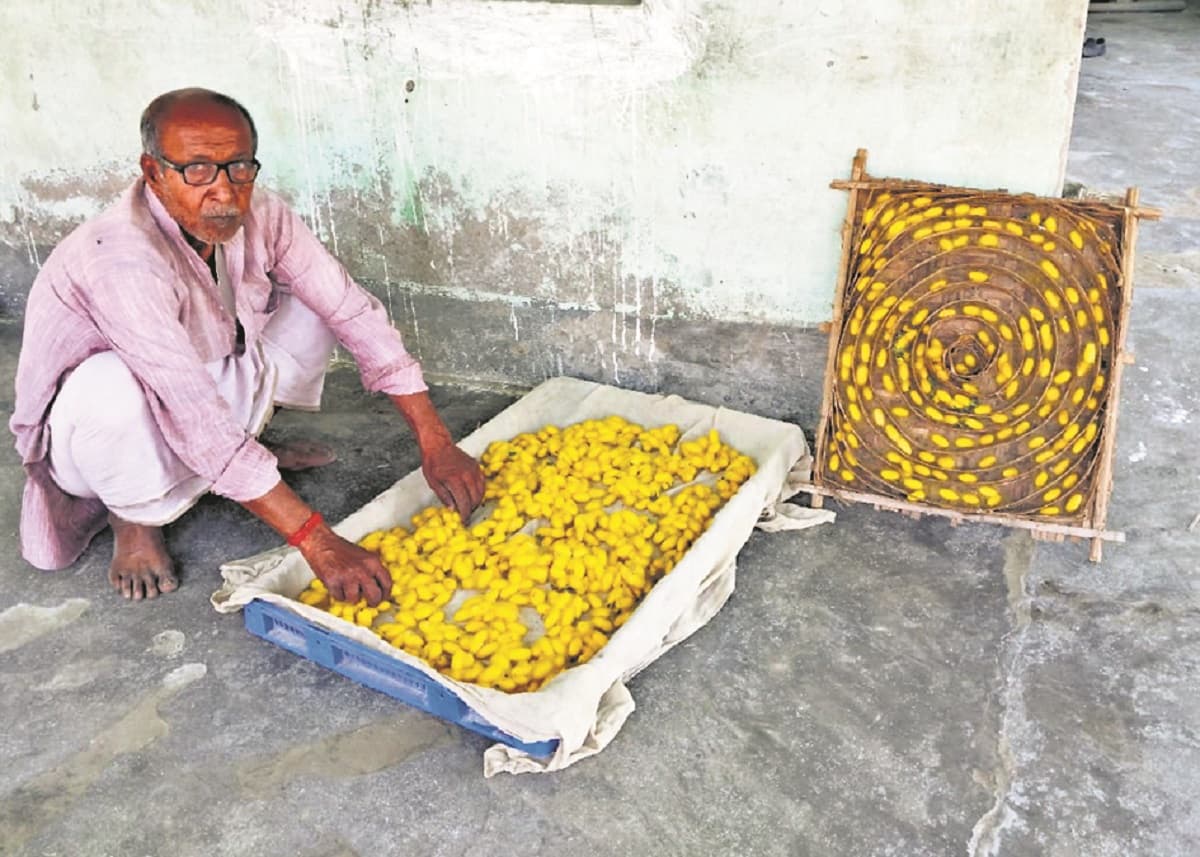 Supaul News : मलबरी की खेती को मिले बढ़ावा, तो सूबे में लहरायेगा कौशिकी ब्रांड रेशम का परचम