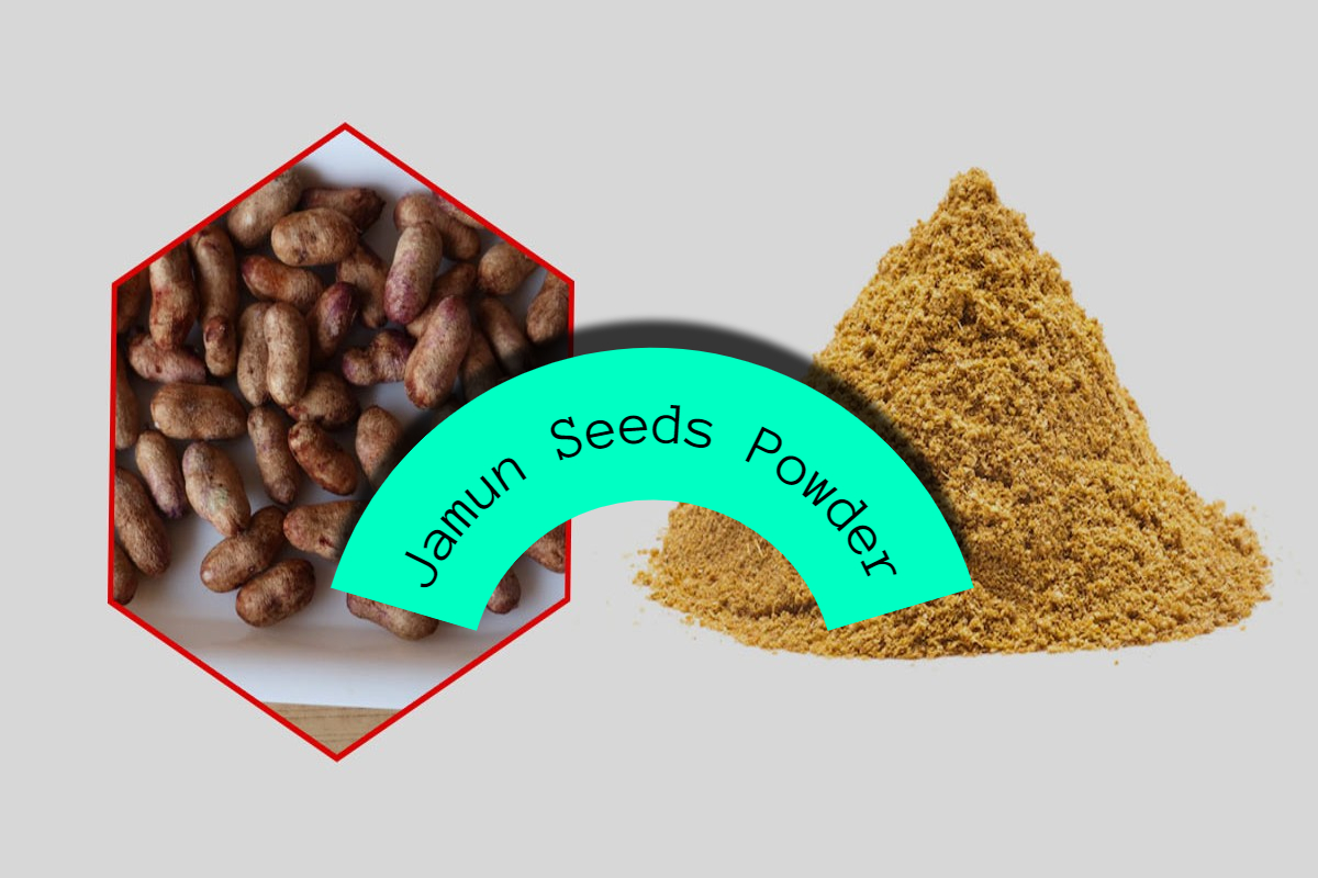 Jamun Seeds Powder: जामुन के बीज का पाउडर खाने के 4 सबसे बड़े फायदे