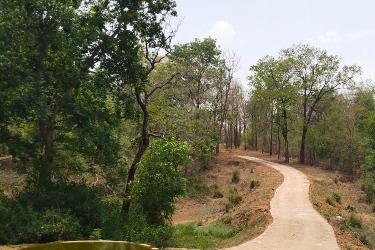 झारखंड के प्रसिद्ध बेतला नेशनल पार्क में पर्यटकों की एंट्री बंद, बढ़ाई गई सुरक्षा व्यवस्था