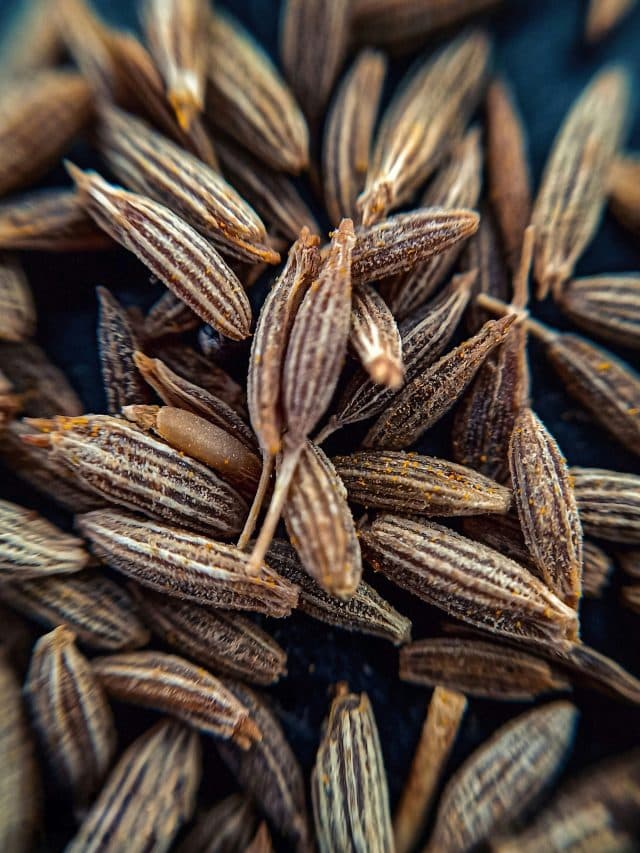 Health Tips: क्या आप जानते हैं खाली पेट जीरा वॉटर पीने के फायदे? यहां जानें