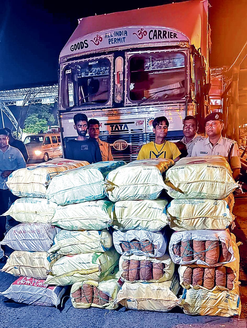 सांकराइल में 516 किलो गांजा जब्त, दो गिरफ्तार
