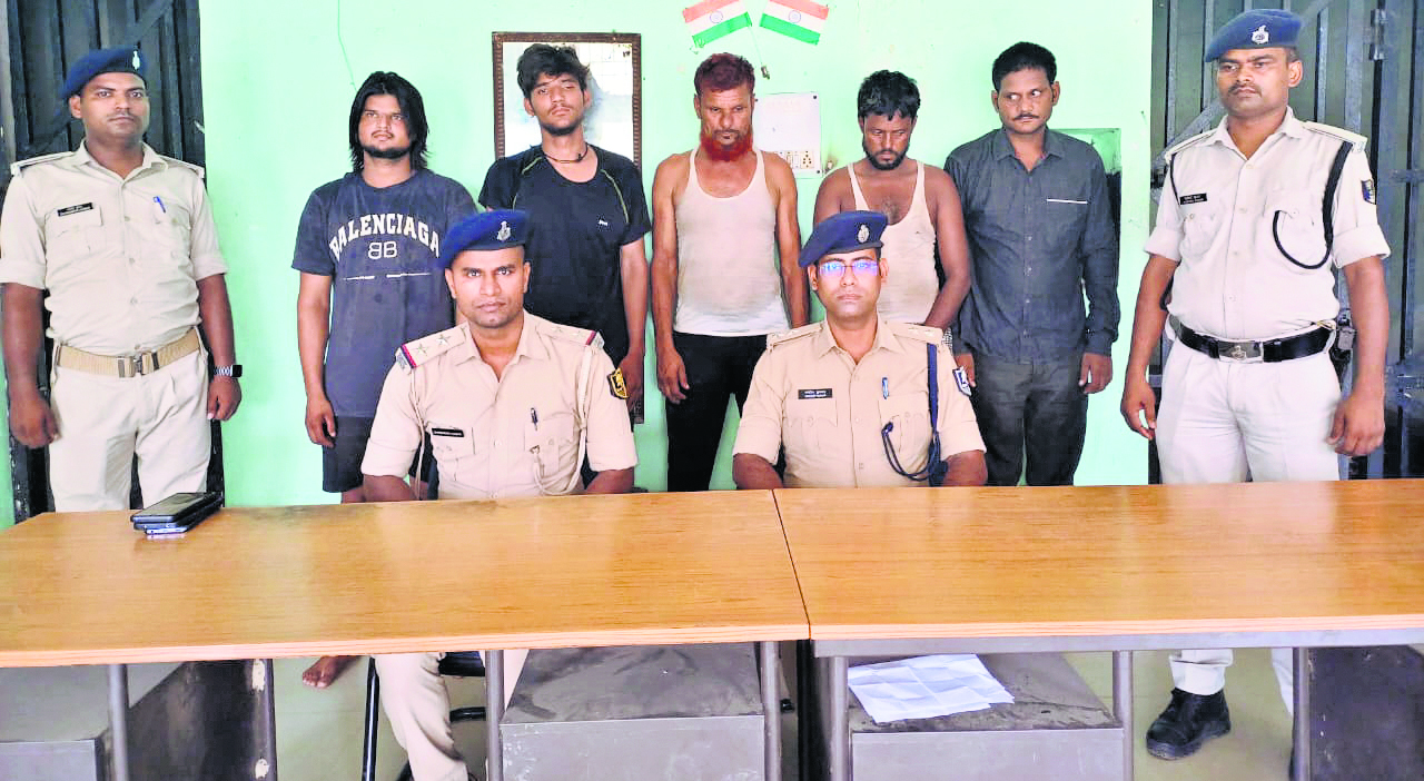 कंटेनर में भरकर यूपी से बांग्लादेश जा रही 95 भैंस जब्त