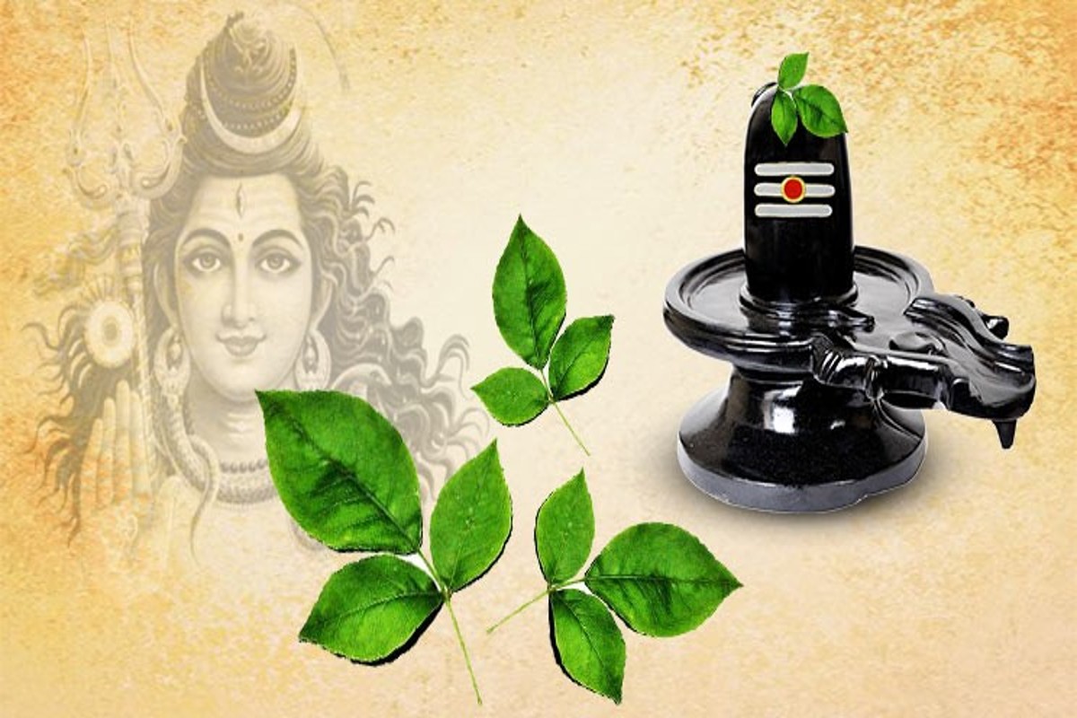 Bel Patra Leaves Benefits: भगवान शिव को चढ़ने वाला ‘बेलपत्र’ को खाने के ये हैं 5 अद्भुत फायदे