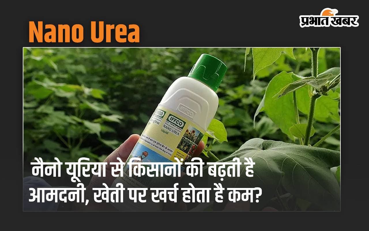 नैनो यूरिया से किसानों की बढ़ती है आमदनी, खेती पर खर्च होता है कम? नैनो यूरिया से किसानों की बढ़ती है आमदनी, खेती पर खर्च होता है कम?