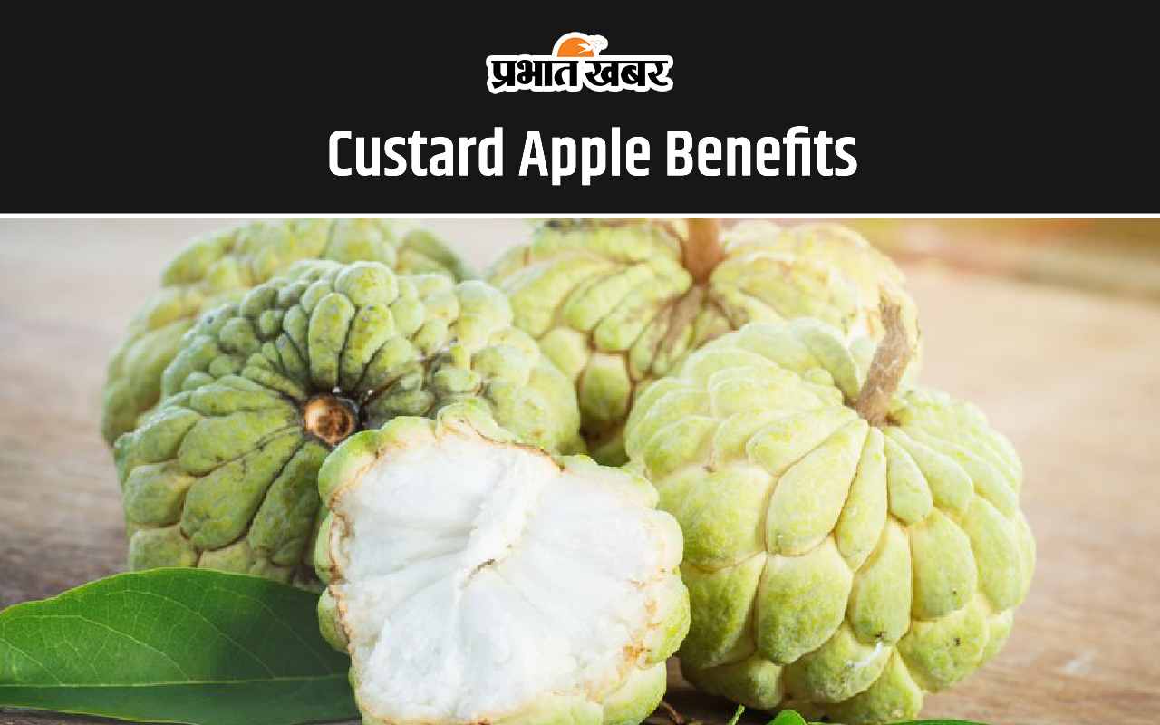 Custard Apple Benefits: शरीफा खाने के ये हैं 5 सबसे अद्भुत फायदे