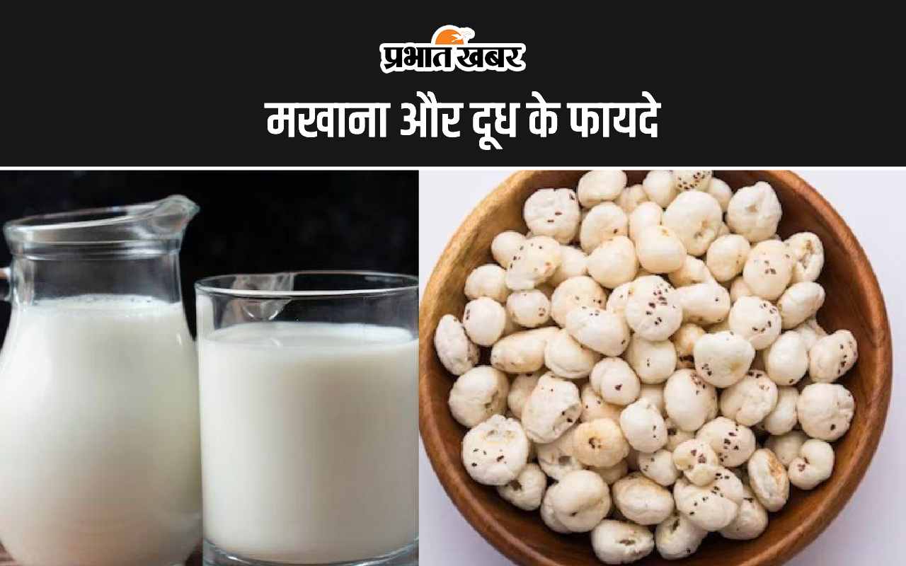 Makhana with Milk Benefits: मखाना और दूध खाने के ये हैं 6 लाभ
