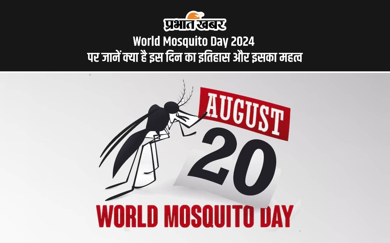 World Mosquito Day 2024: विश्व मच्छर दिवस पर आज जानें क्या है इस दिन का इतिहास, जानें इसका महत्व World Mosquito Day 2024: विश्व मच्छर दिवस पर आज जानें क्या है इस दिन का इतिहास, जानें इसका महत्व