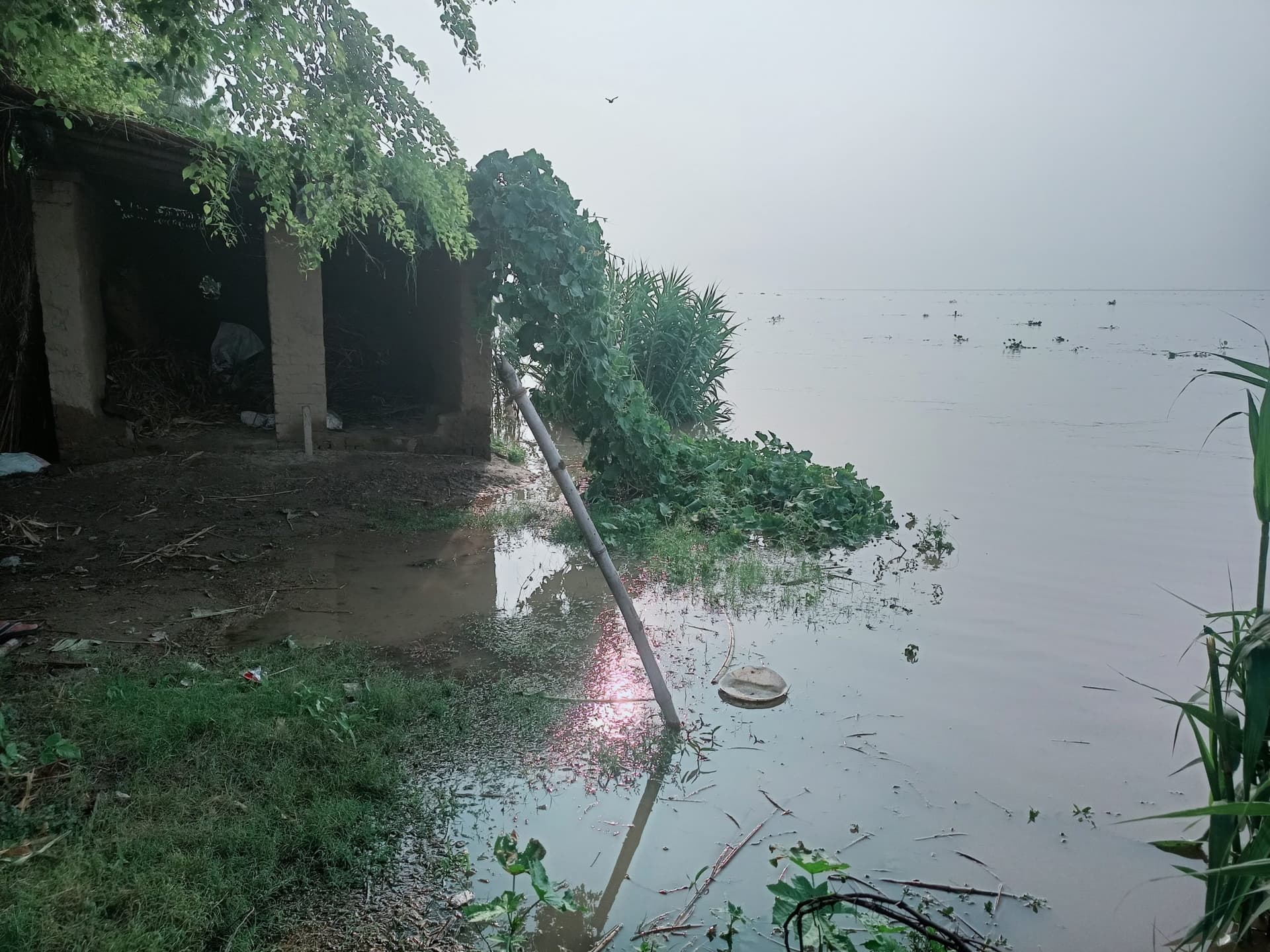 सिंघिया पंचायत की कई स्थानों पर गंगा के जलस्तर में वृद्धि से बढ़ा पानी का दबाव