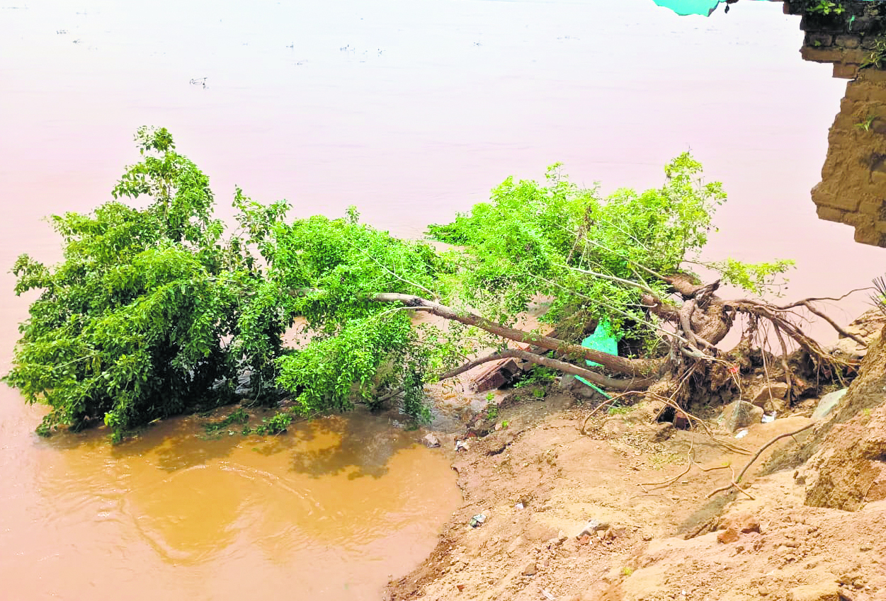सोन नदी के जलस्तर में वृद्धि, गांवों में अलर्ट जारी