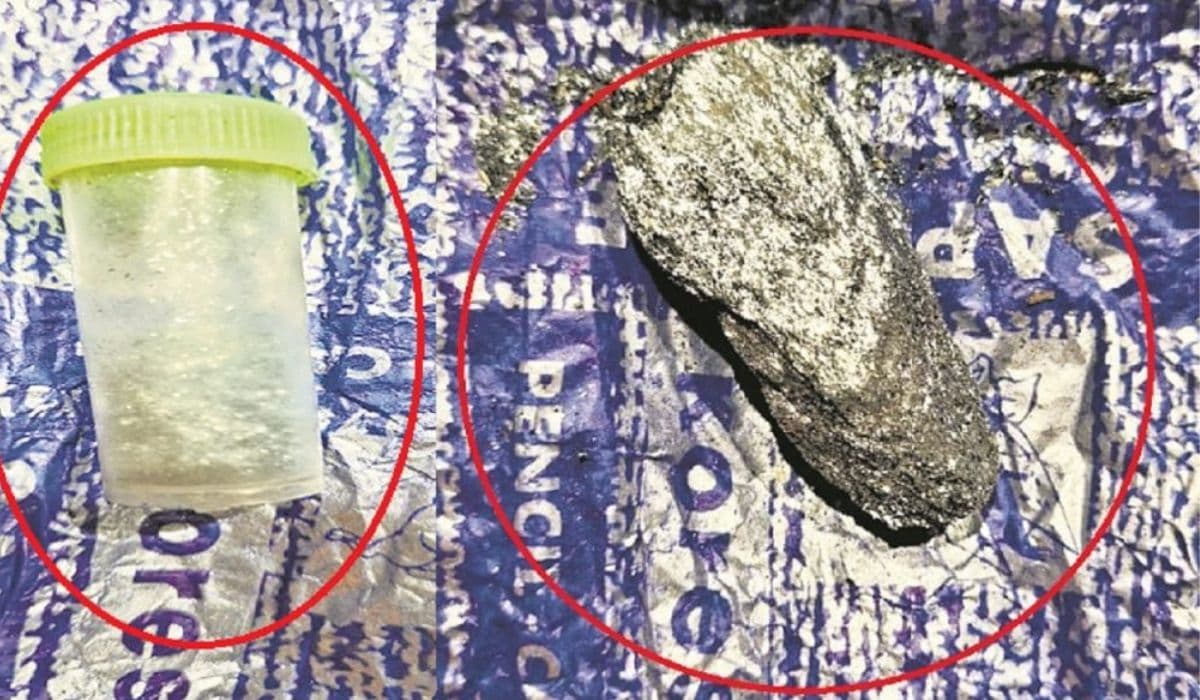 सिवान जेल में बंद अपराधी कैलिफोर्नियम तस्करों को फोन पर कर रहा था गाइड, पोल खुलते हीं सुरक्षा एजेंसियां हाइअलर्ट पर…