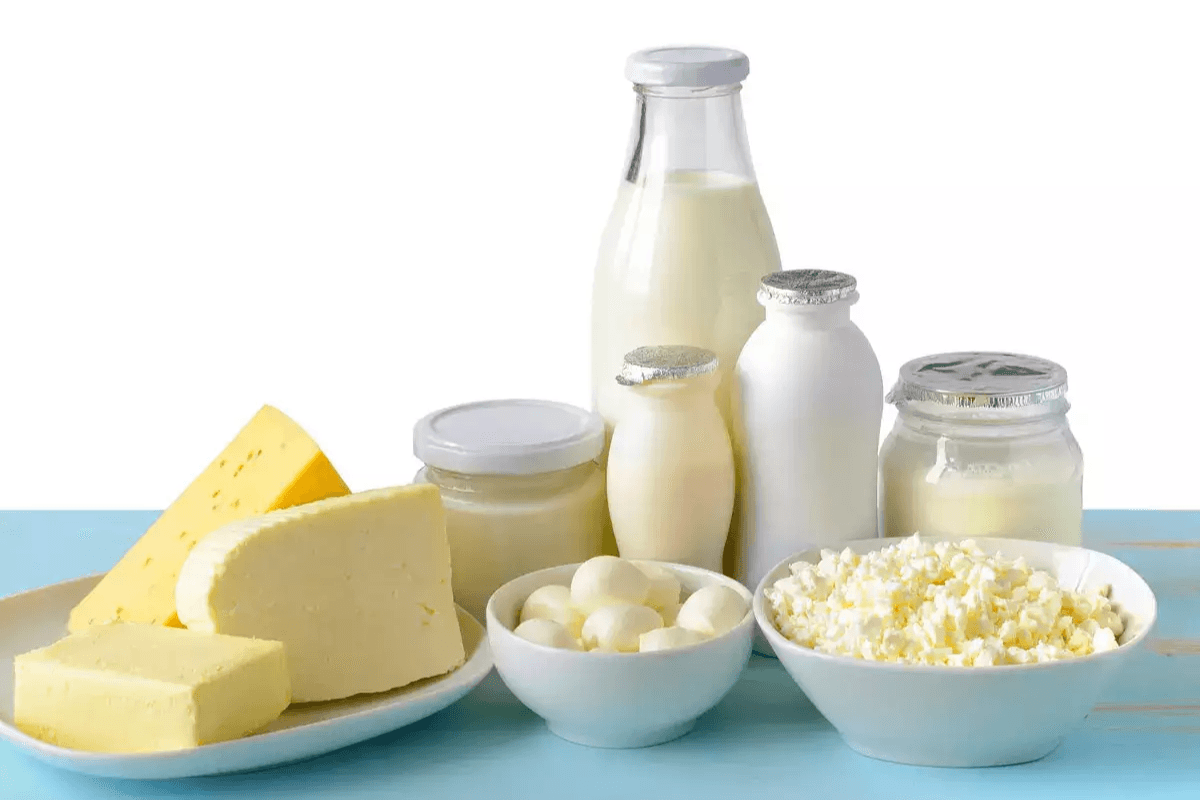 Milk vs Milk Products: जानिए कौन सा स्वास्थ्य के लिए बेहतर है और क्यों? Milk vs Milk Products: जानिए कौन सा स्वास्थ्य के लिए बेहतर है और क्यों?