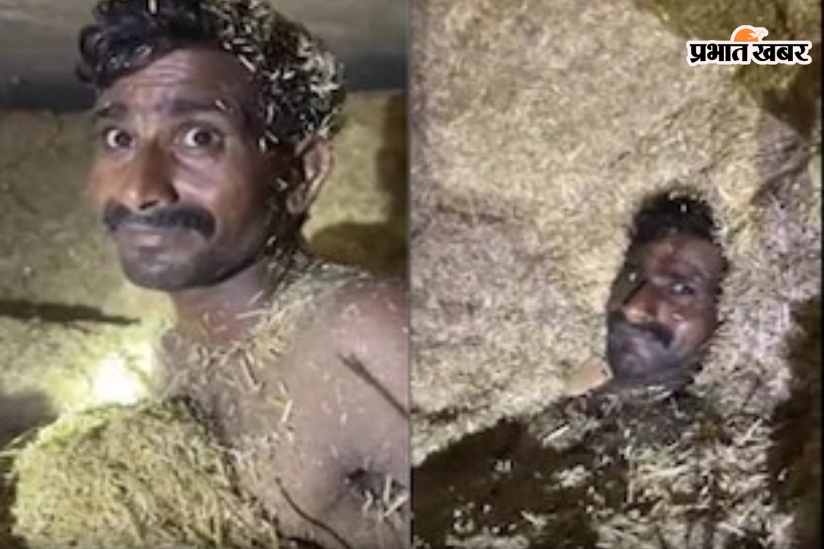 A man hiding in a haystack out of fear of the polic A man hiding in a haystack out of fear of the polic