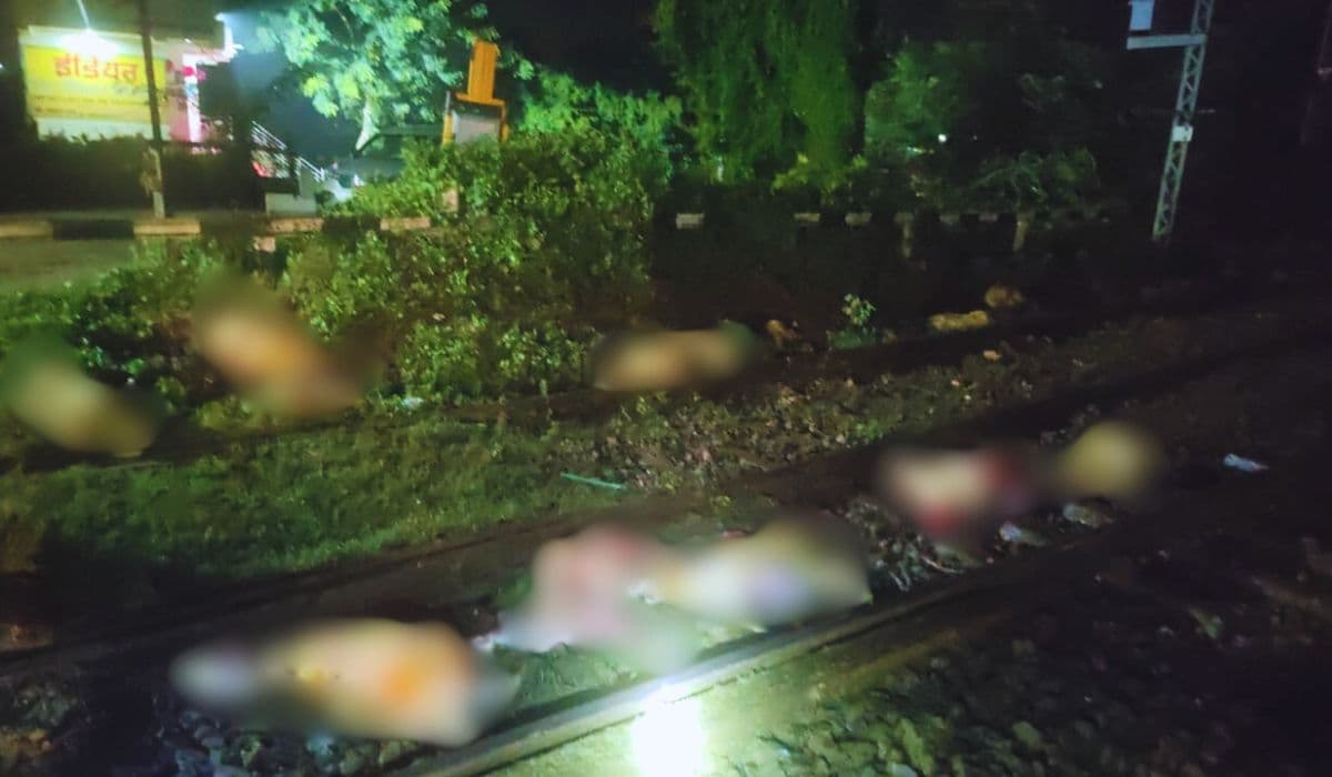 buxar news | Bihar News: About 50 sheep died after being hit by a train in Buxar. buxar news | Bihar News: About 50 sheep died after being hit by a train in Buxar.