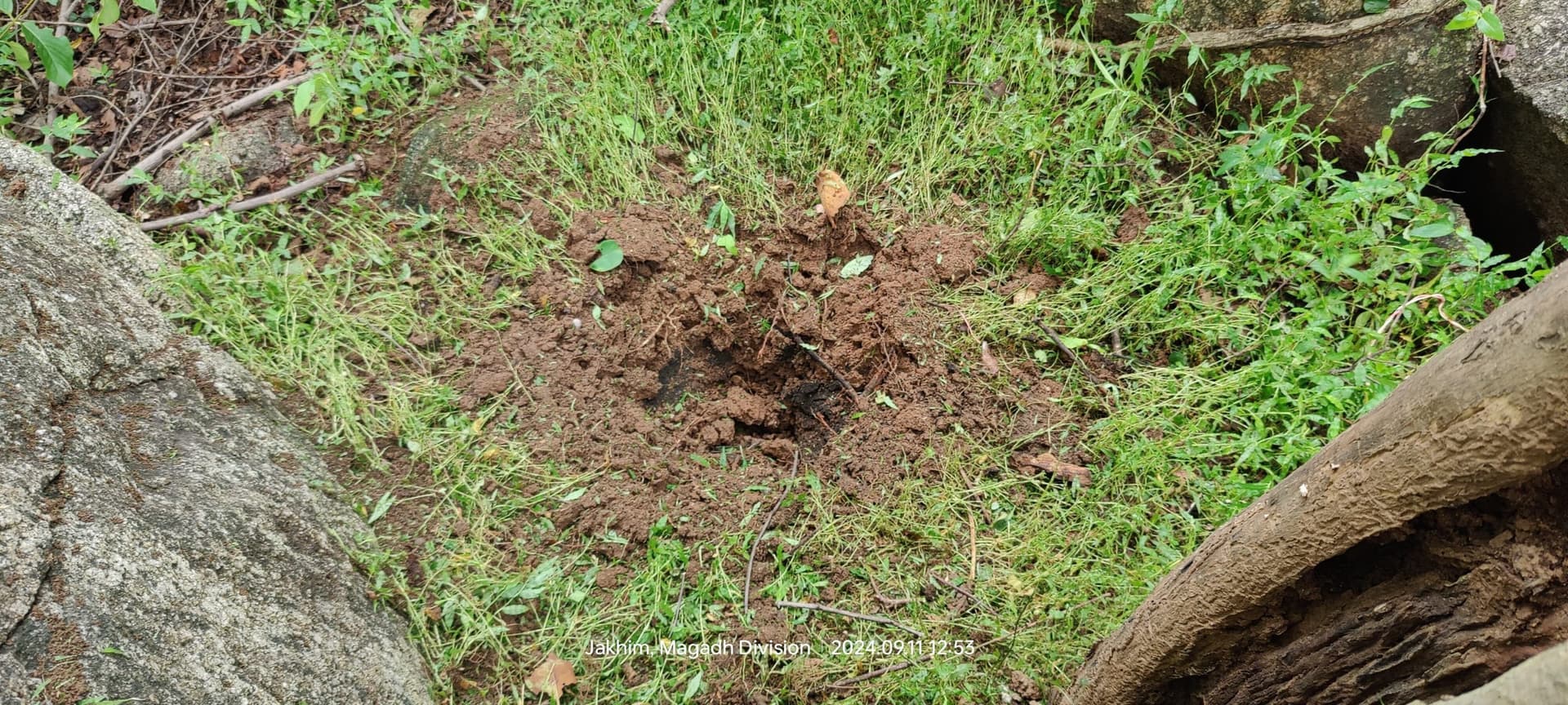 Aurangabad News : पचरूखिया के जंगल से मिले तीन-तीन किलो के दो आइइडी