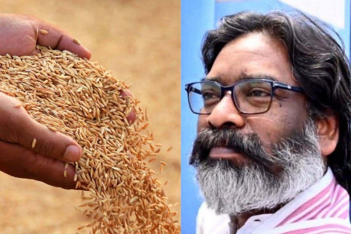 Paddy Procurement Last Date: किसानों के लिए खुशखबरी, धान खरीद की अंतिम तिथि बढ़ी