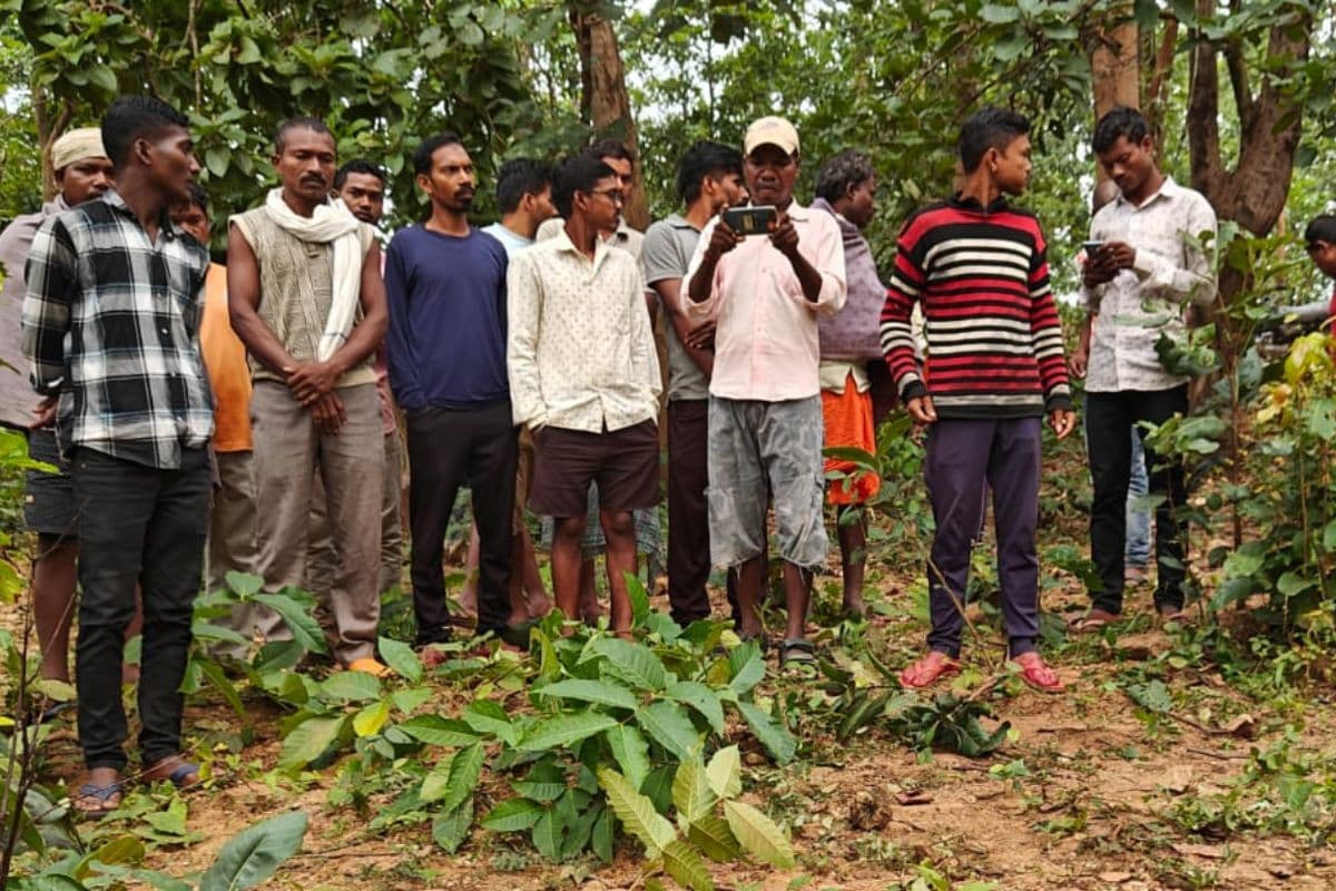 Jharkhand News: गढ़वा में दशहरा देखकर लौट रहे युवक को हाथियों ने कुचलकर मार डाला, 3 ने भागकर बचाई जान Jharkhand News: गढ़वा में दशहरा देखकर लौट रहे युवक को हाथियों ने कुचलकर मार डाला, 3 ने भागकर बचाई जान