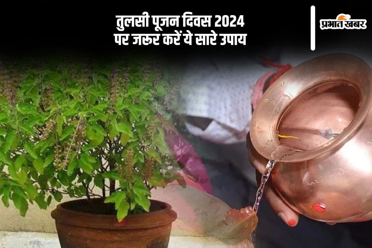 Tulsi Pujan Diwas 2024 Upay Tulsi Pujan Diwas 2024 Upay