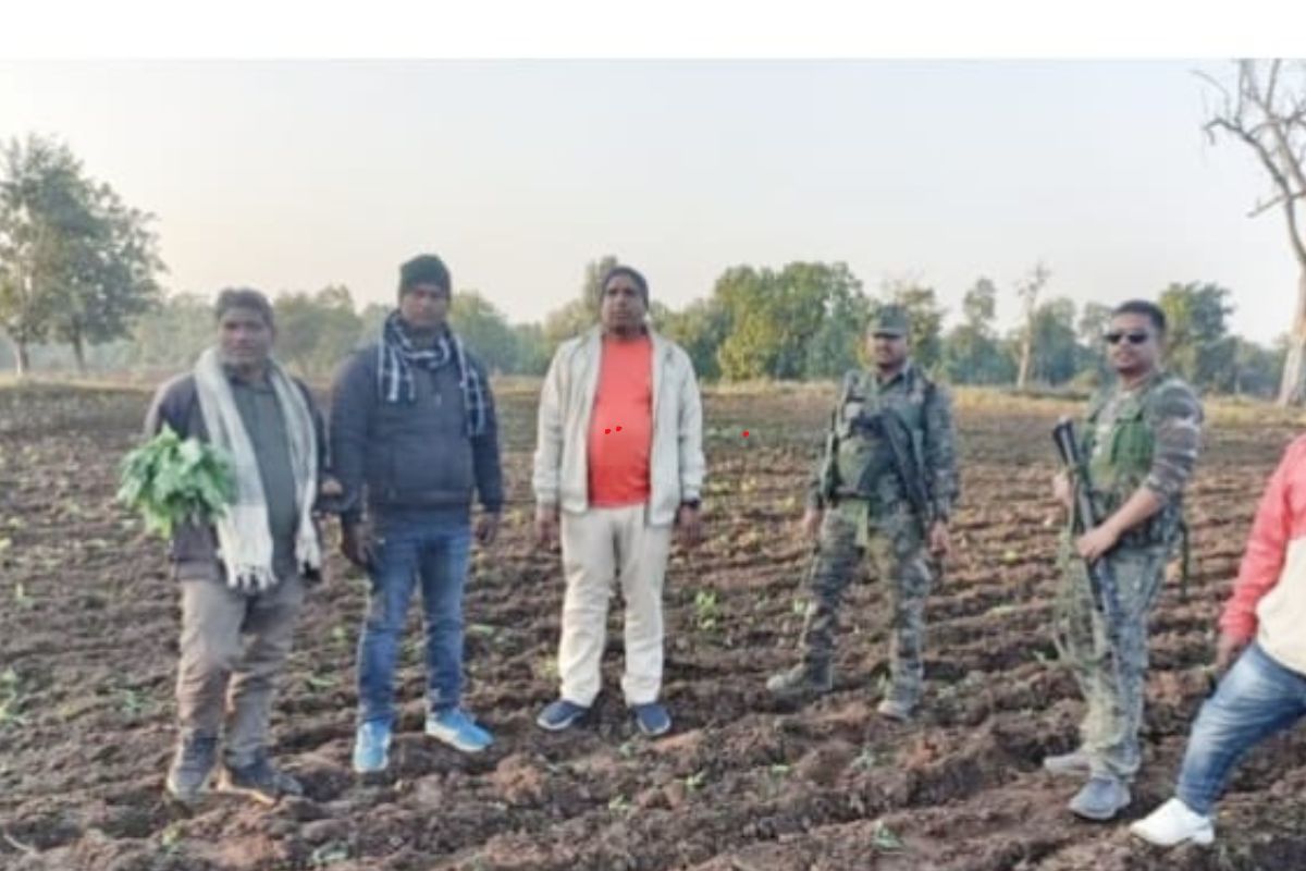 पलामू में नशा के कारोबार पर बड़ा प्रहार, पुलिस और वन विभाग ने अफीम की खेती को किया नष्ट