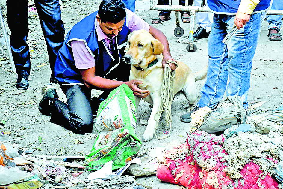 गोल्फग्रीन : कचरे के ढेर में मिला महिला का कटा सिर