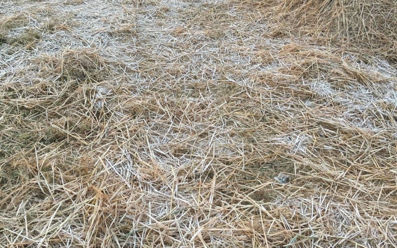 Jharkhand Weather Cold Wave Snow Fall in North-East India Jharkhand Weather Cold Wave Snow Fall in North-East India
